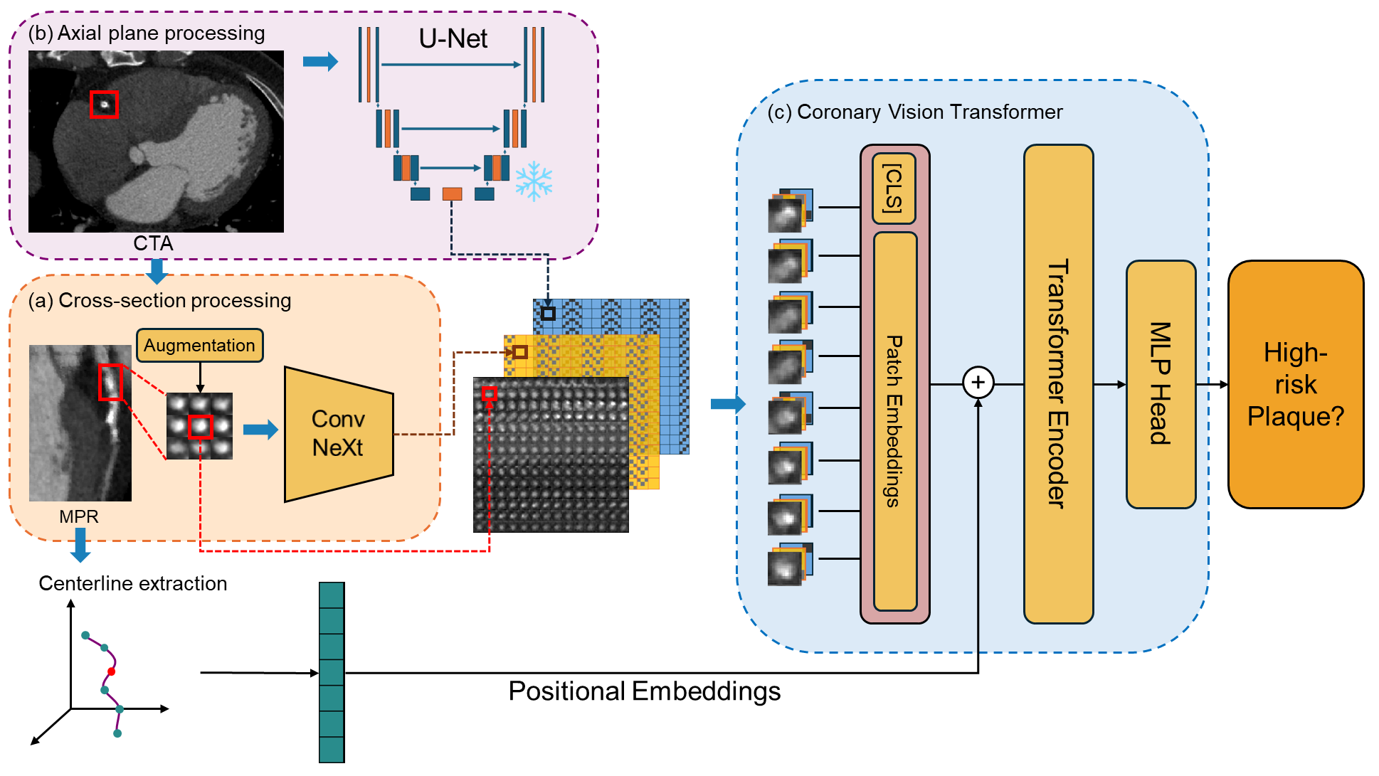 ViTAL-CT framework
